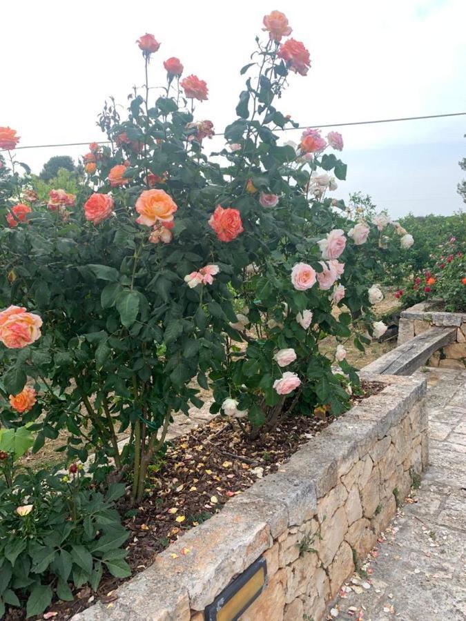 Villa Il Giardino Degli Antichi Sapori Ceglie Messapica Exterior foto
